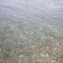 фото из отзыва ID 1422586