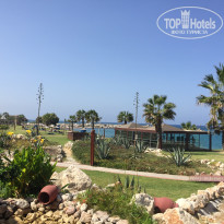 фото из отзыва ID 1422609