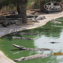 фото из отзыва ID 1422612