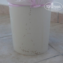 фото из отзыва ID 1422640