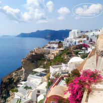 фото из отзыва ID 1422755