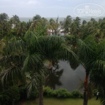 фото из отзыва ID 1422781