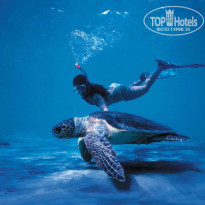 фото из отзыва ID 1422792