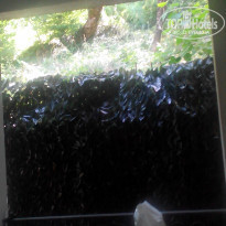 фото из отзыва ID 1422819