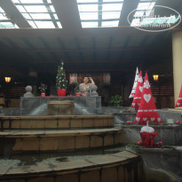 фото из отзыва ID 1422835