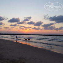 фото из отзыва ID 1422884