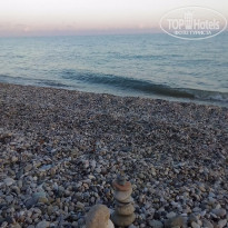 фото из отзыва ID 1422129