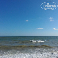 фото из отзыва ID 1422129