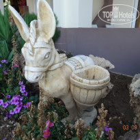 фото из отзыва ID 1423157