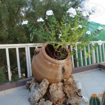 фото из отзыва ID 1423157