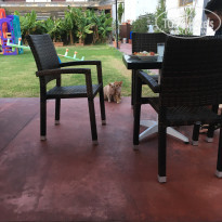 фото из отзыва ID 1423185