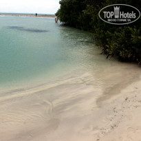 фото из отзыва ID 1423233