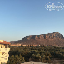 фото из отзыва ID 1423317