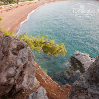 фото из отзыва ID 1423426