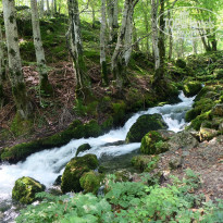 фото из отзыва ID 1423426