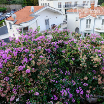 фото из отзыва ID 1423426