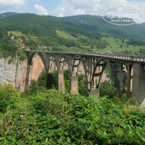 фото из отзыва ID 1423426