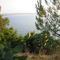 фото из отзыва ID 1423588