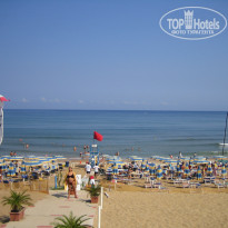 фото из отзыва ID 1423588