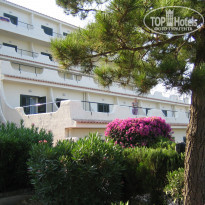 фото из отзыва ID 1423588