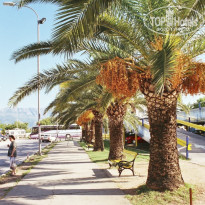 фото из отзыва ID 1423630