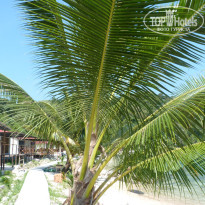 фото из отзыва ID 1423637