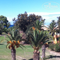 фото из отзыва ID 1423682