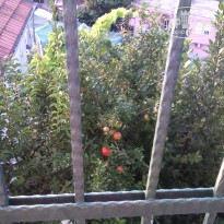 фото из отзыва ID 1423694