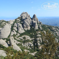 фото из отзыва ID 1423712