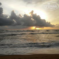 фото из отзыва ID 1423743