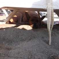 фото из отзыва ID 1423807