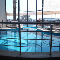 фото из отзыва ID 1423807