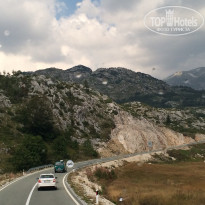 фото из отзыва ID 1423855