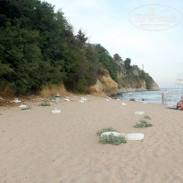 фото из отзыва ID 1423886