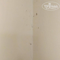 фото из отзыва ID 1423900