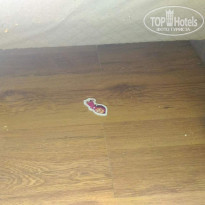 фото из отзыва ID 1423900