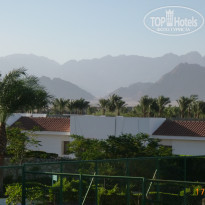 фото из отзыва ID 1423922