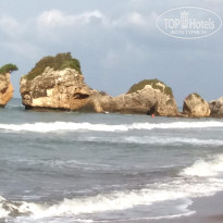 фото из отзыва ID 1423996