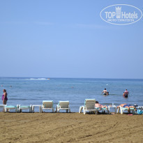 фото из отзыва ID 1424058