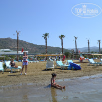 фото из отзыва ID 1424058