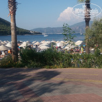 фото из отзыва ID 1424132