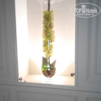 фото из отзыва ID 1424163