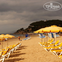 фото из отзыва ID 1424188