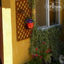 фото из отзыва ID 1424210