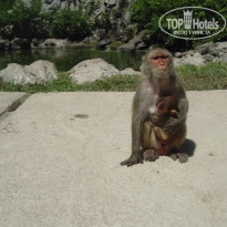 фото из отзыва ID 1420520