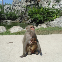 фото из отзыва ID 1420520