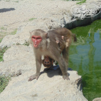 фото из отзыва ID 1420520