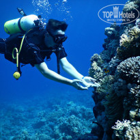 фото из отзыва ID 1424250