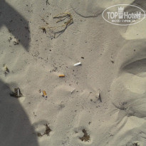 фото из отзыва ID 1424406