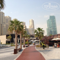 фото из отзыва ID 1424409